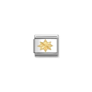 Nomination Symbol link med gull, Diamantskåret Vindrose