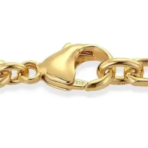 Anker Armbånd 4,5mm 19cm 585 Gull