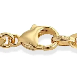 Panser Armbånd 6mm 19cm 585 Gull